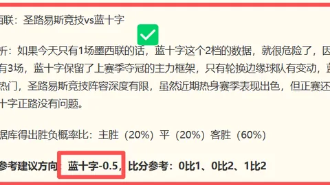 皇马引进罗德里高，金年会，层赞誉有加，加盟前景成焦点